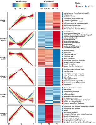 Investigation of Specific Proteins Related to Different Types of Coronary Atherosclerosis